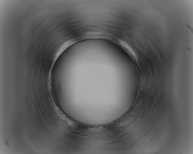 X0000091661386200709131502