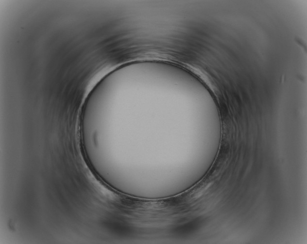 X0000091661387200709131502