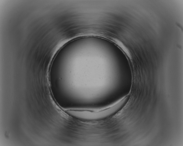 X0000091661388200709131501