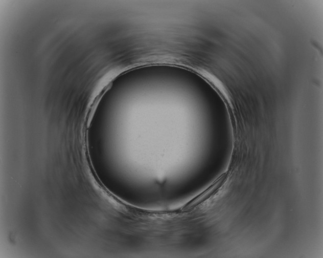 X0000091661389200709131501