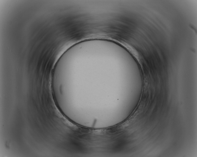 X0000091661390200709131501