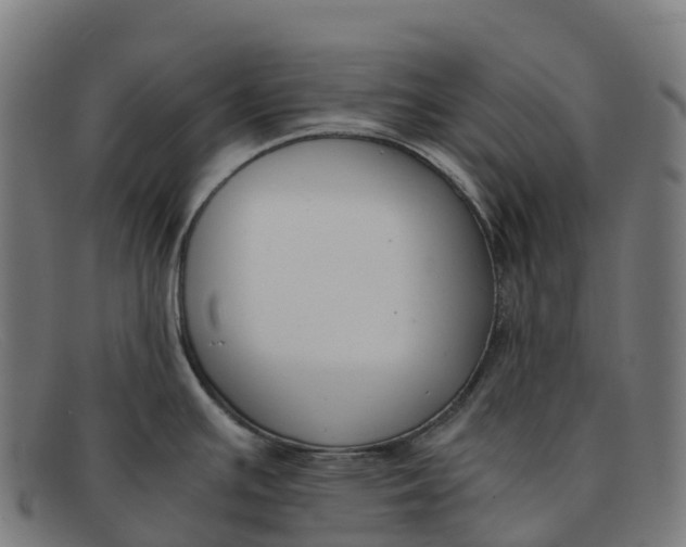 X0000091661391200709131501