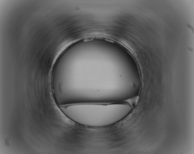 X0000091661392200709131501