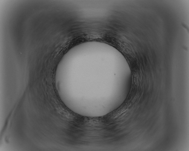 X0000091661393200709131501