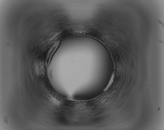 X0000091661394200709131501