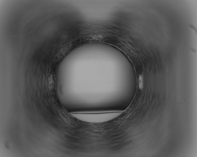 X0000091661395200709131501