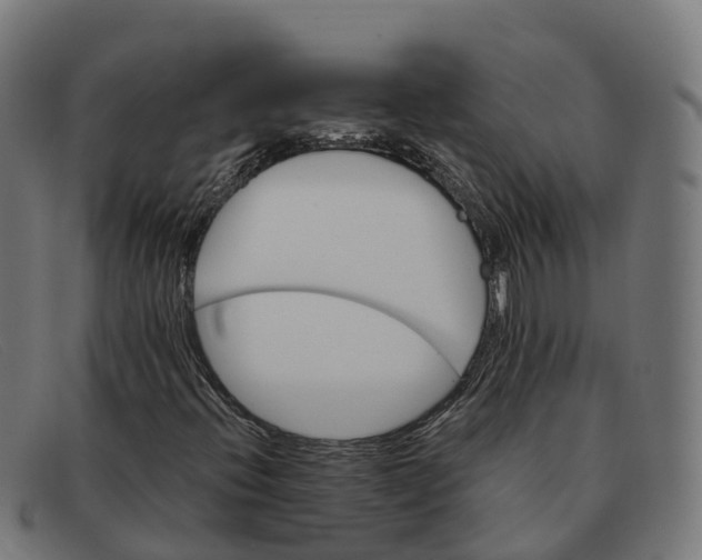 X0000091661396200709131501