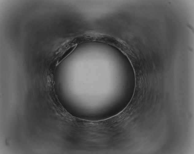 X0000091661397200709131501