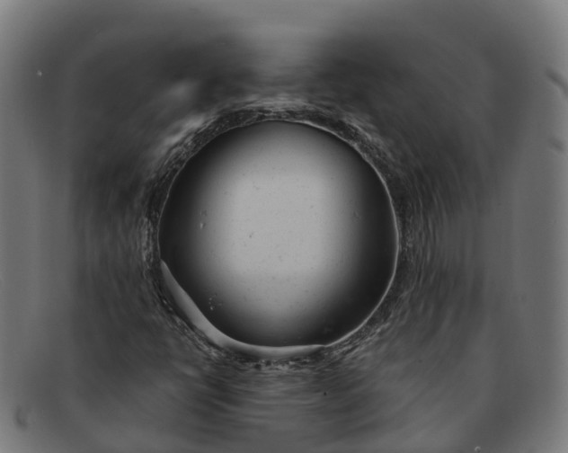 X0000091661398200709131501