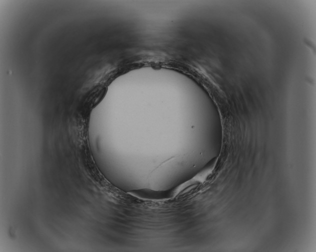 X0000091661399200709131501