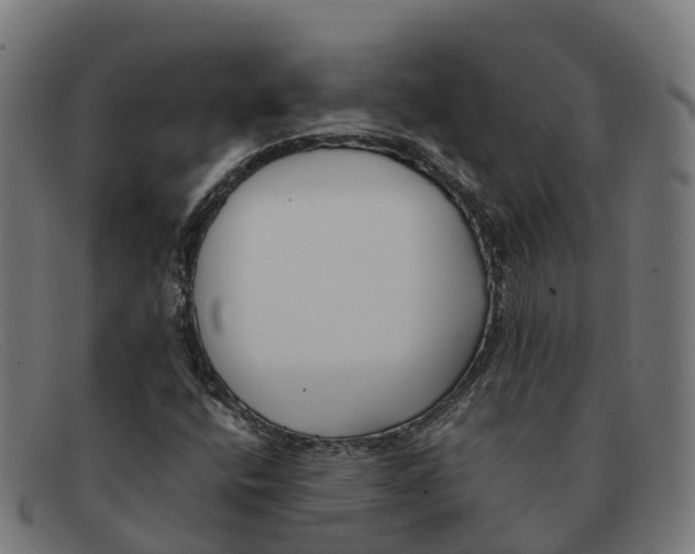 X0000091661400200709131501