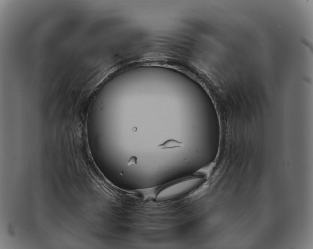 X0000091661401200709131501