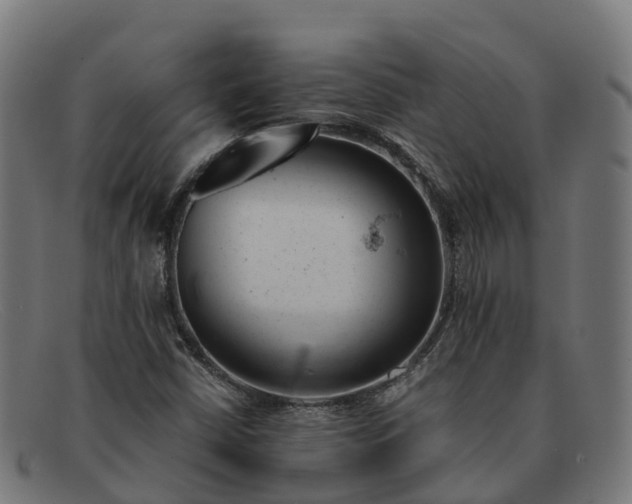 X0000091661402200709131501