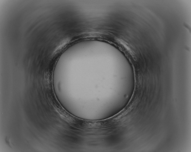 X0000091661403200709131501