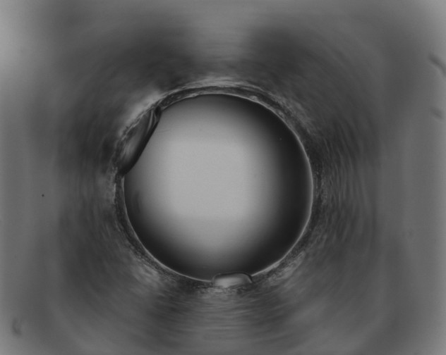 X0000091661406200709131501