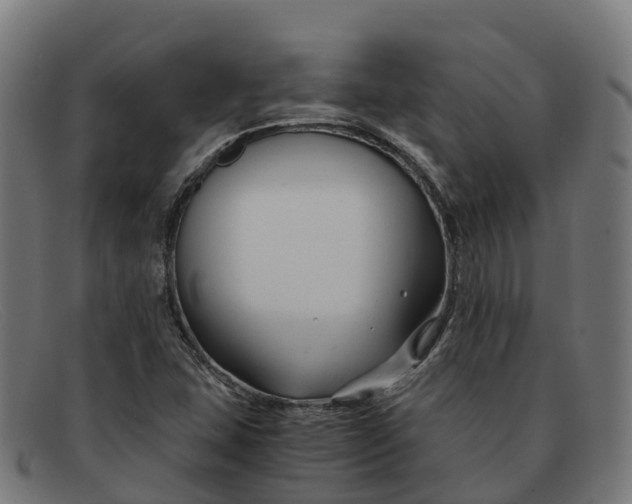 X0000091661407200709131501