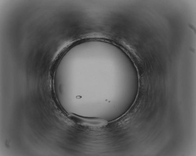 X0000091661408200709131501