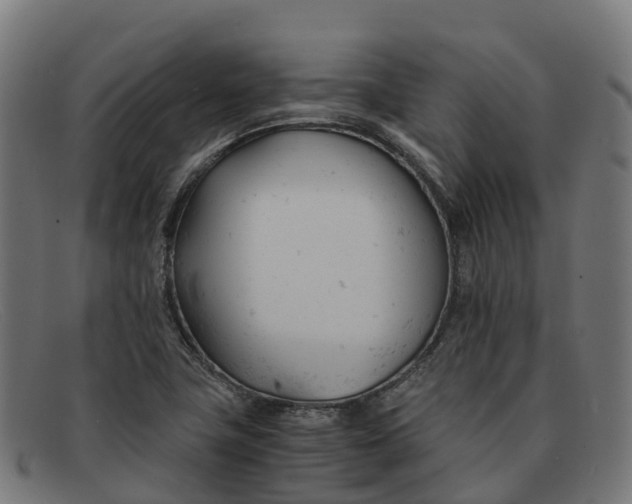 X0000091661411200709131501