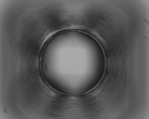 X0000091661412200709131501