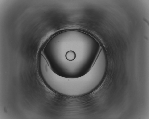 X0000091661414200709131501