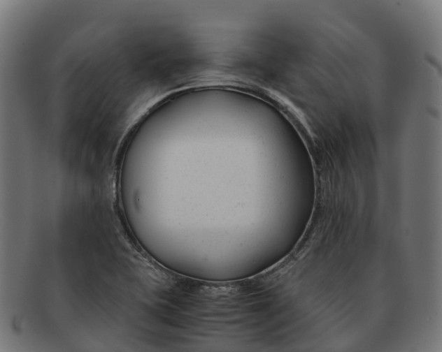 X0000091661415200709131501