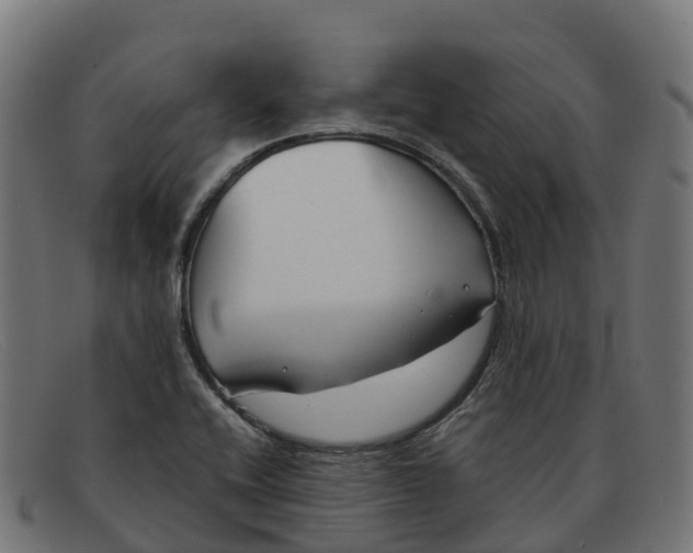 X0000091661416200709131501