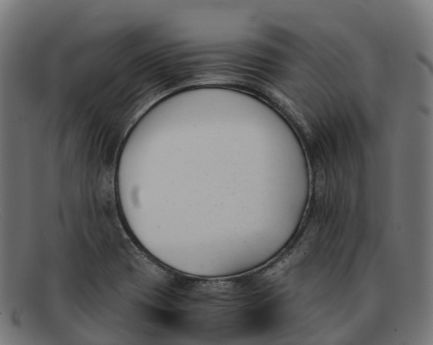 X0000091661417200709131501