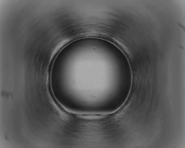 X0000091661418200709131501