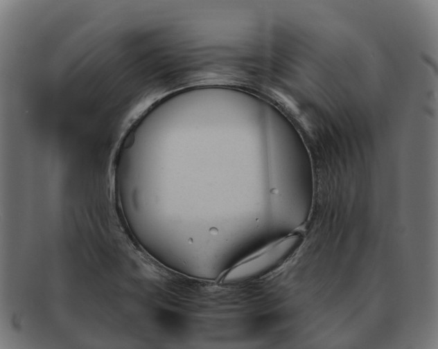 X0000091661419200709131501