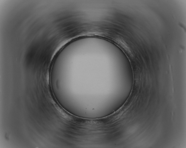 X0000091661420200709131501