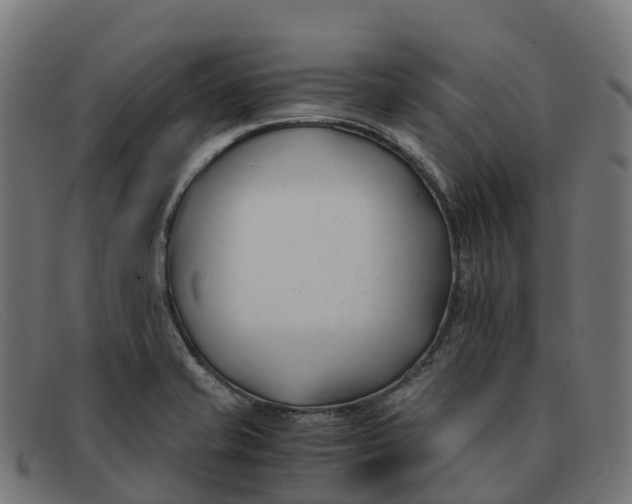 X0000091661421200709131501