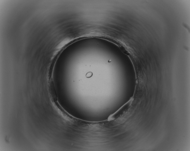 X0000091661422200709131501