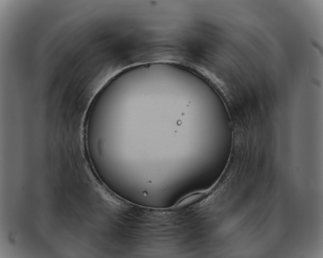 X0000091661423200709131501