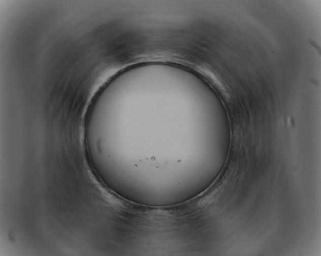 X0000091661424200709131501