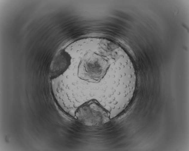 X0000091661425200709131501