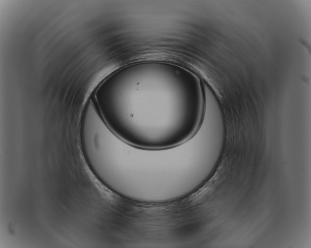 X0000091661426200709131501