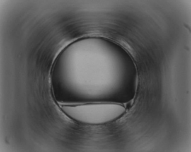 X0000091661428200709131501