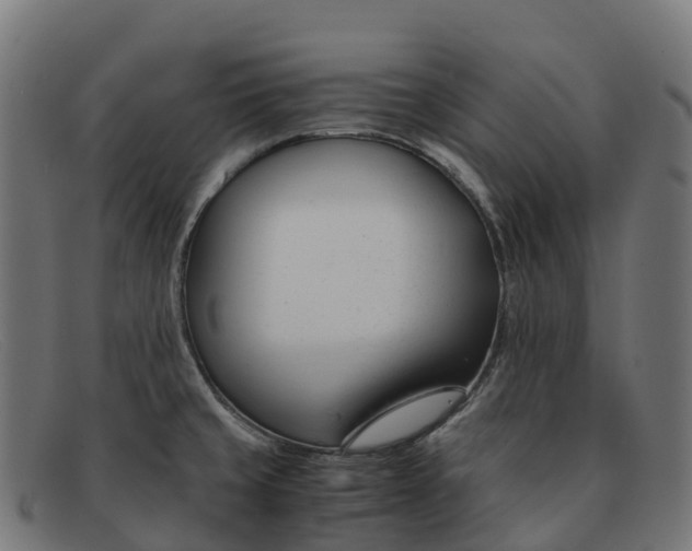 X0000091661429200709131501