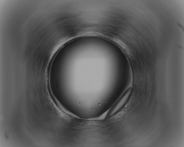 X0000091661430200709131501