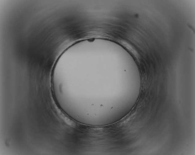 X0000091661431200709131501