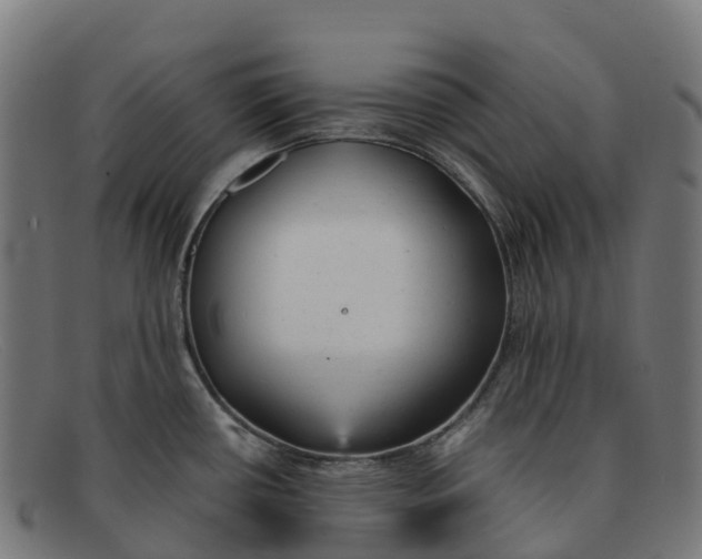 X0000091661434200709131501