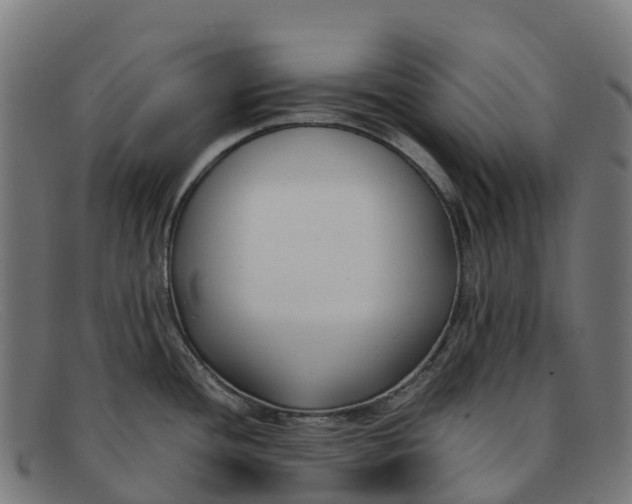 X0000091661436200709131501