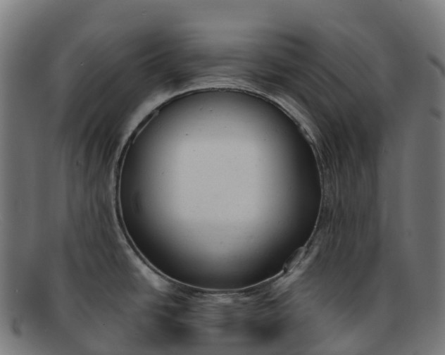 X0000091661438200709131501