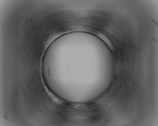 X0000091661439200709131501