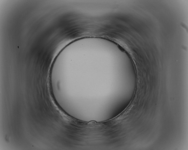 X0000091661440200709131501