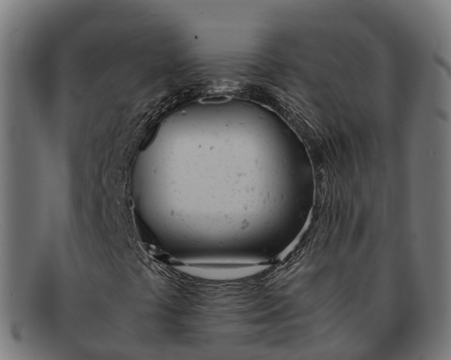 X0000091661441200709131501