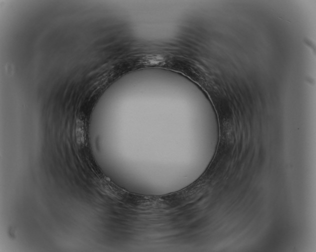 X0000091661442200709131501