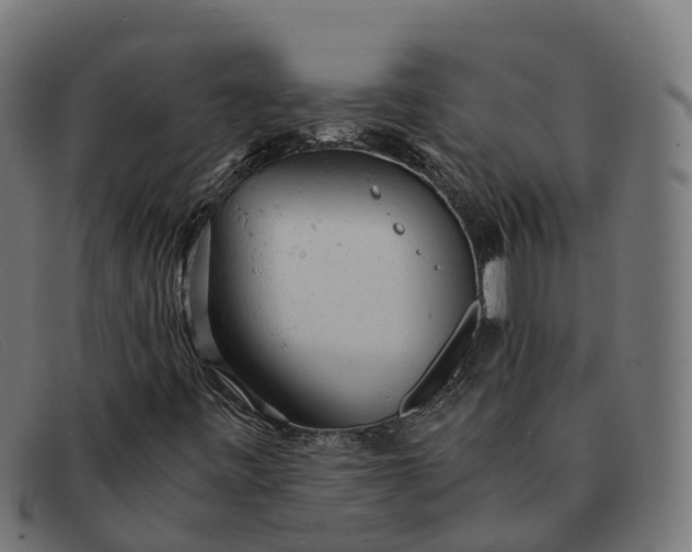 X0000091661443200709131501