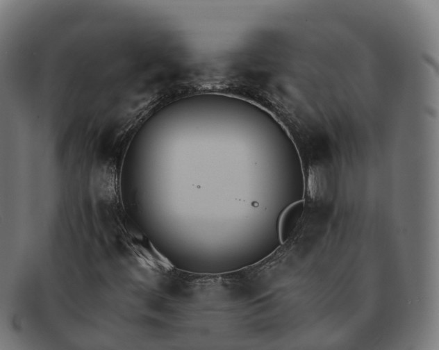 X0000091661444200709131501