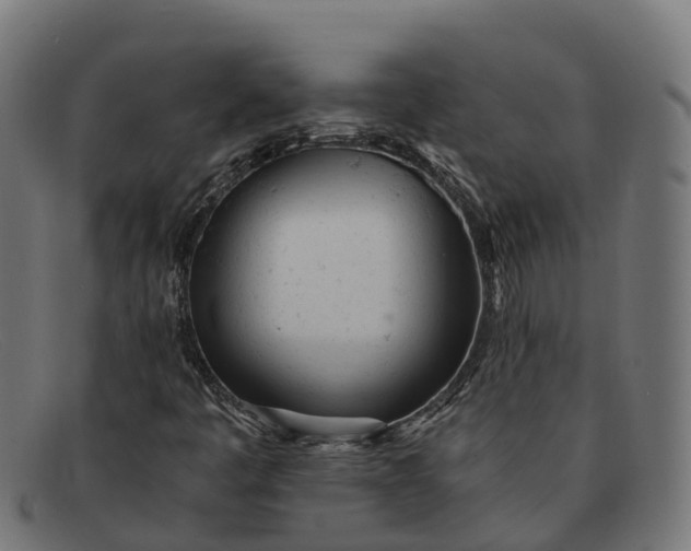 X0000091661445200709131501